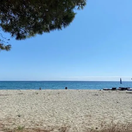 Apartment Location Studio Cabine Les Pieds Dans L'eau San-Nicolao
